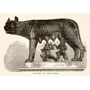  1890 Wood Engraving Ancient Etruscan Capitoline She Wolf 