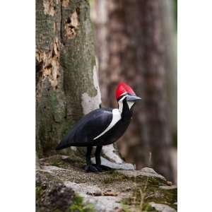  Working Woodpecker Patio, Lawn & Garden