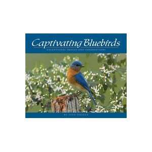    Adventure Publications Captivating Bluebirds 
