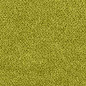  58 Wide Double Sided Curly Fleece Chartreuse Green 