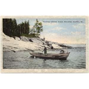 1920s Vintage Postcard Hauling Lobster Traps   Boothbay Harbor Maine