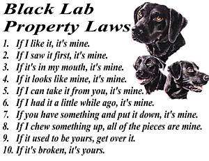 PARCHMENT PRINT  BLACK LAB LABRADOR RETRIEVER DOG LAW  