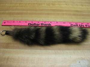 Tanned Raccoon Tail Key Chain / Trapping / Fur Coats  