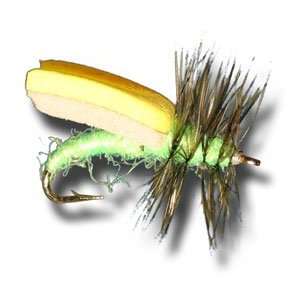  Foam Wing Caddis   Bright Green Fly Fishing Fly Sports 