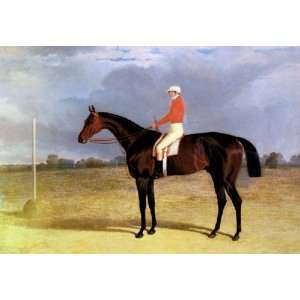  reproduction size 24x36 Inch, painting name A Dark Bay Racehorse 