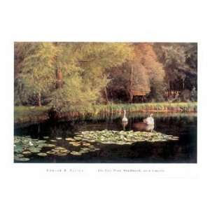 Taylor   The Lily Pond Shudbrook near Lincoln 