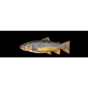 Brown Trout Rear Window Decal