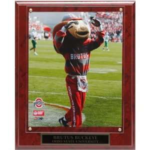  Ohio State Buckeyes 10.5 x 13 Brutus Buckeye Mascot 