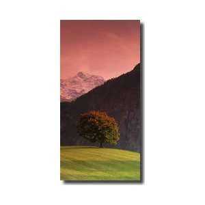  Alps Switzerland Giclee Print