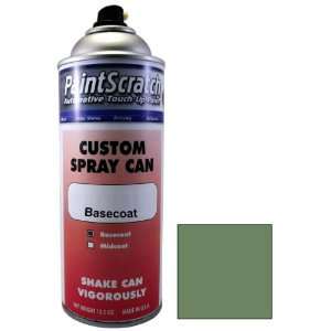   Touch Up Paint for 2002 Nissan Micra (color code BW3) and Clearcoat