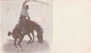Cowboy on Bucking Bronco rodeo old 1900s Chinook MT postcard  