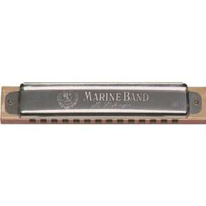   Hohner 365 Steve Baker Special Harmonica Key of A Musical Instruments