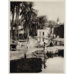  1929 Village Irrigation Canal El Marg El Merg Egypt 