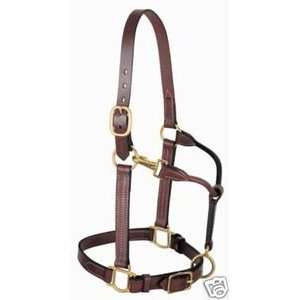  WEAVER LEATHER SHOW HALTER HORSE WESTERN TACK MAHOGHANY BRIDLE 