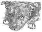 Staffordshire Bull Terrier Staffy ACEO art cards  