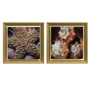 Set of 2 Starfish and Seashell Beach Theme Photographic Framed Wall 