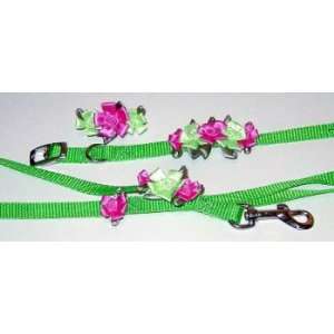 Hot Pink/Lime Petal Flower Collar (Size 12 x 5/8 width)  