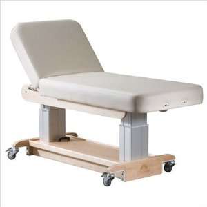  Oakworks 58523 Celesta Performa Lift Table with Backrest 