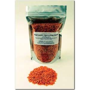  Organic Red Lentil Sprouting Seeds   Lentils Seed For 