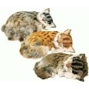  Single, Real Rabbit Fur Sleeping House Cat or Kitten 