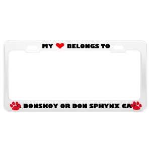  A Donskoy Or Don Sphynx Cat Pet White Metal License Plate 
