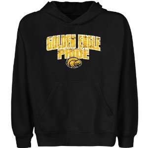  Southern Miss Golden Eagles Youth State Pride Pullover 