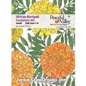  Marigold Seed Pack, African Patio, Lawn & Garden