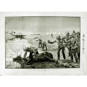   1882 WAR EGYPT BRITISH SOLDIERS DEAD HORSE WATER HOLE