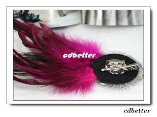 Lady Color Rhinestone Peacock Feather Fuschia Brooch Pins Hair Clips 