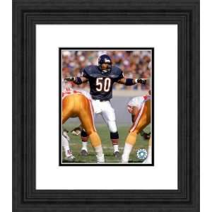  Framed Mike Singletary Chicago Bears Photograph Sports 