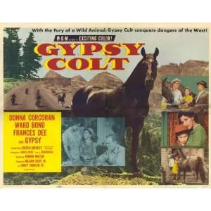  Gypsy Colt   Movie Poster   11 x 17