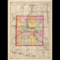 1147046 map of shiawassee county michigan