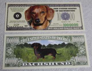   wiener dog, puppy, short hair, long hair, miniature $1,000,000  