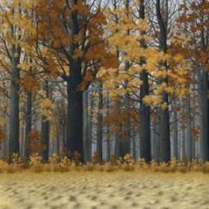  Timothy Artz 30W by 30H  Autumn Wood CANVAS Edge #6 1 