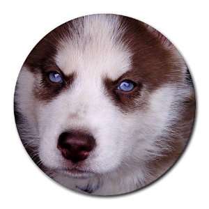  Siberian Husky Puppy Dog 17 Round Mousepad BB0631 