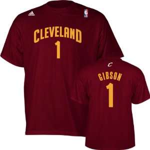 Daniel Gibson adidas Burgundy Name and Number Cleveland Cavaliers T 