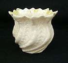 belleek shell vase  