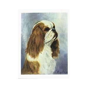  Red English Toy Spaniel Notecards