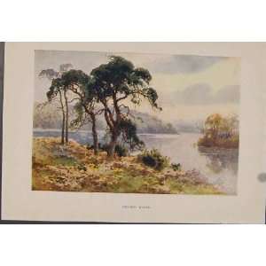   Painting By Haslehust Virginia Water English Country