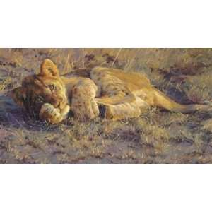  Dino Paravano   Sunset Lion Cub Artists Proof Canvas 