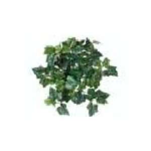  Allstate Floral and Craft PBD914 GR 19 in. W.R. Eng.Ivy Hg 
