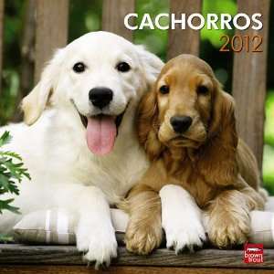 Puppies (Spanish) 2012 Wall Calendar