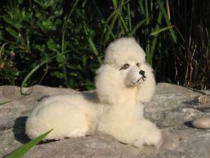 White Poodle Excellent Craftsmanship Furry Animal  