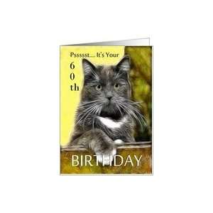  Birthday ~ Age Specific 60th ~ Cat in a box Card Toys 