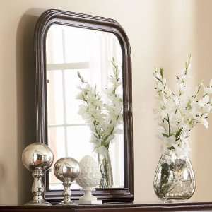  Coaster Furniture Wiseman Mirror 203984