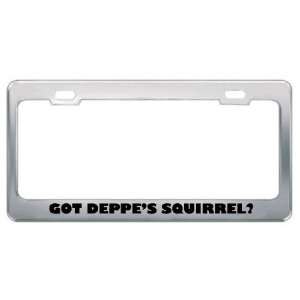 Got DeppeS Squirrel? Animals Pets Metal License Plate Frame Holder 