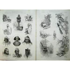  1886 Indian Empire Tiger Hunting Limboo Cheroo Natives 