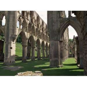  Rievaulx Abbey, Yorkshire, England, United Kingdom Premium 