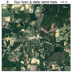    Aerial Photography Map of Samson, Alabama 2011 AL 