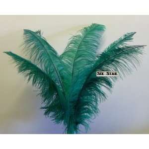 Ostrich Deluxe Formal Palm Tree Green Plume  Feather 18 24Long 10 Pcs 